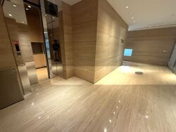 Trilight (D11), Condominium #501939501